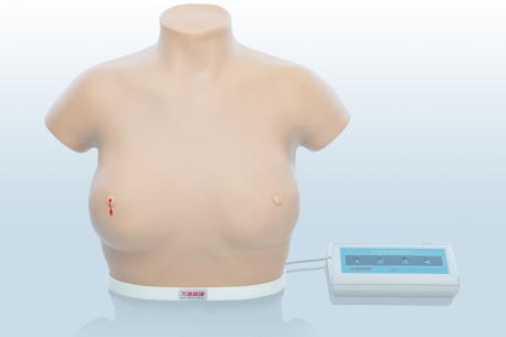 電子乳腺癌觸診、視診訓練模型
